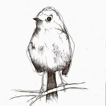 black and white drawing of bird